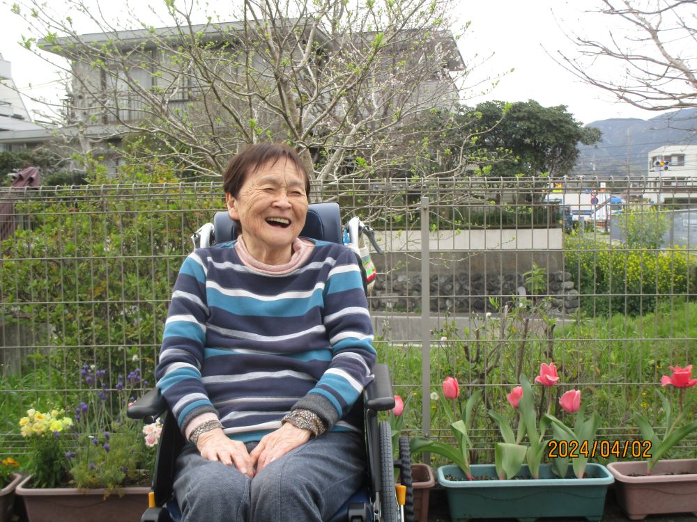 静岡市清水区老人ホーム_咲いた咲いたチューリップの花
