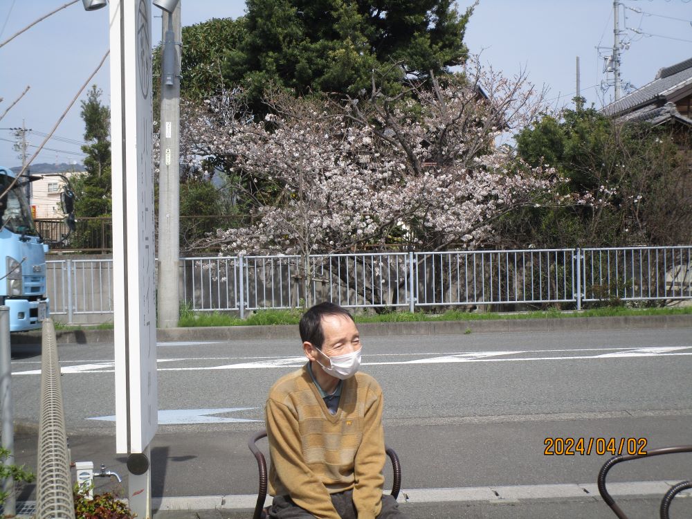 静岡市清水区老人ホーム_咲いた咲いたチューリップの花