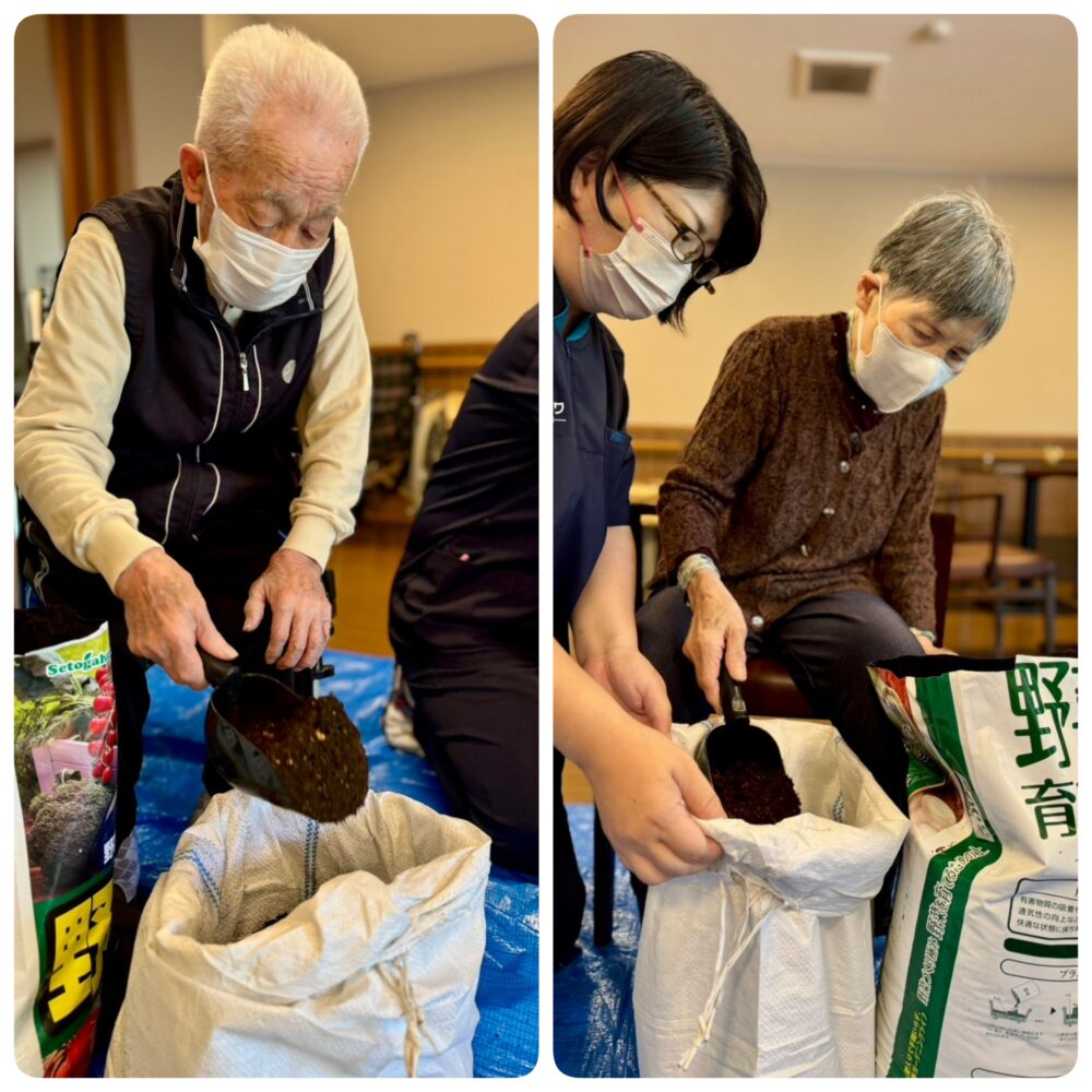 ハートライフ小石川　さつまいもの植え付け