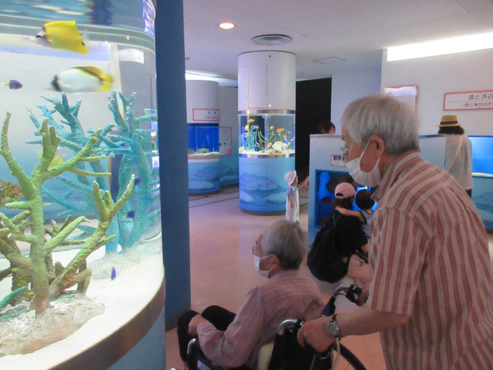 静岡市葵区有料老人ホーム_東海大学海洋博物館