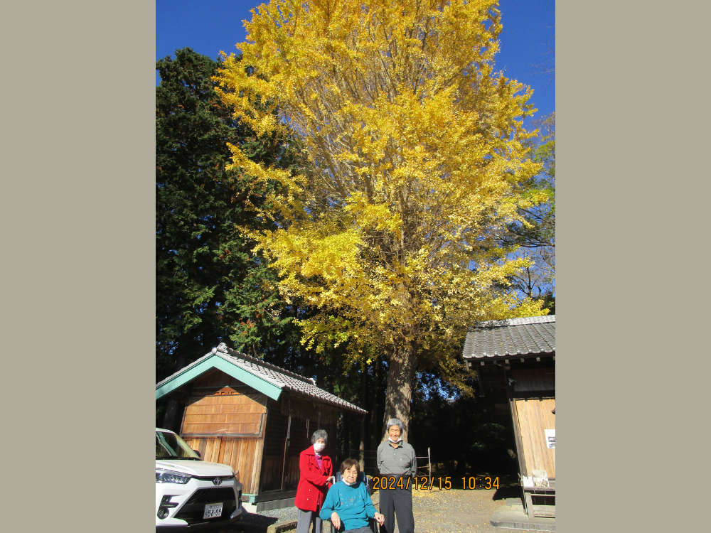 静岡市清水区老人ホーム_銀杏黄葉押切八幡神社